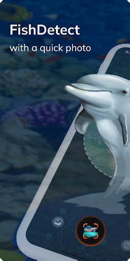 fish identifier online free|FishDetect .